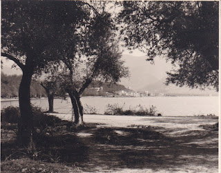 Γουμενίτσα, Πλατάνια 1955